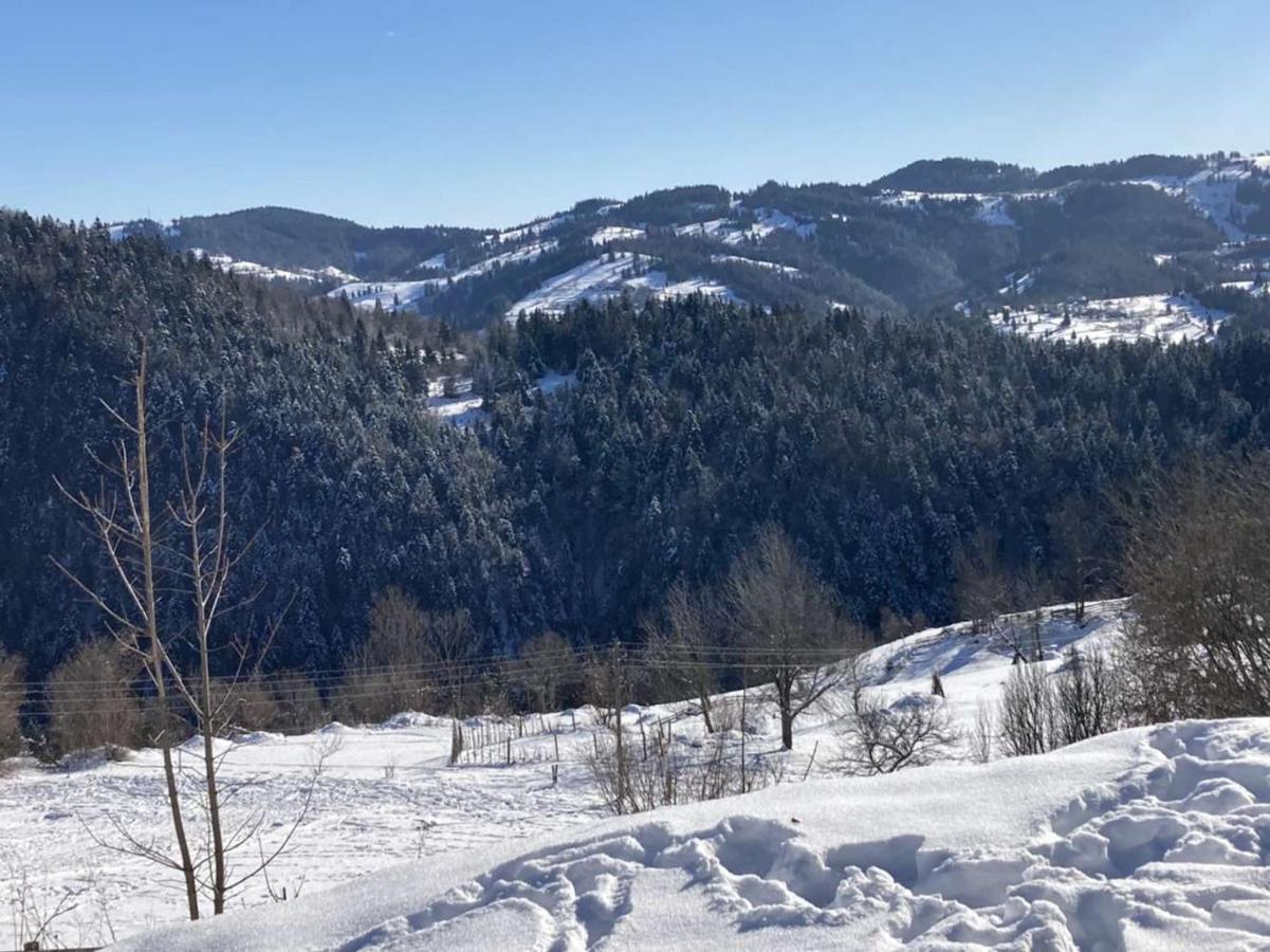 Pensiunea Amalia Gîrda de Sus Exteriör bild