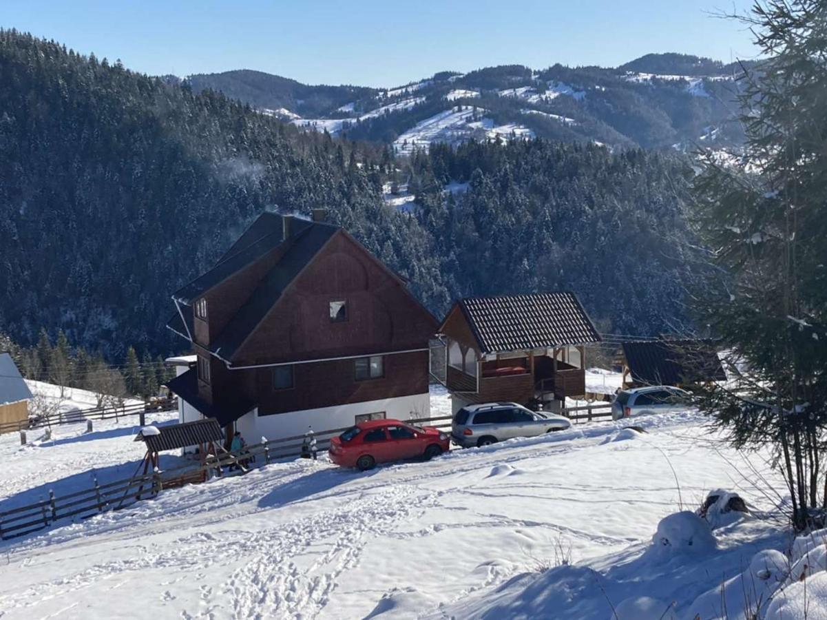Pensiunea Amalia Gîrda de Sus Exteriör bild