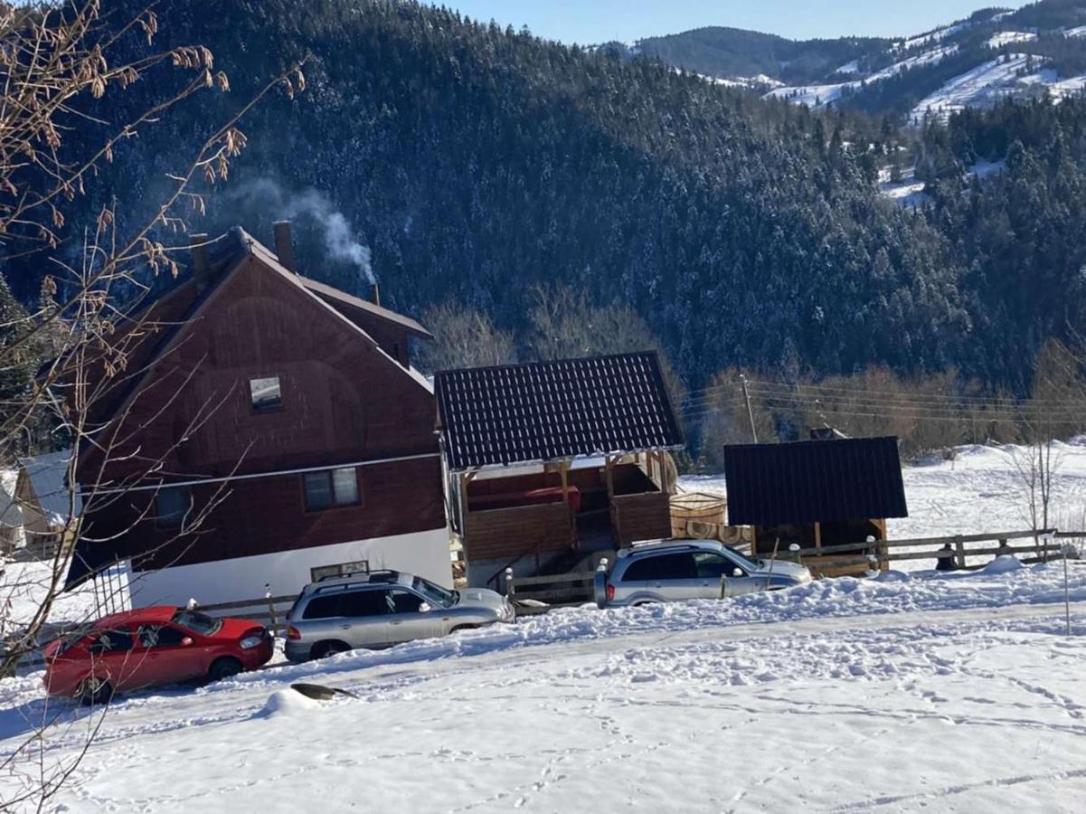 Pensiunea Amalia Gîrda de Sus Exteriör bild