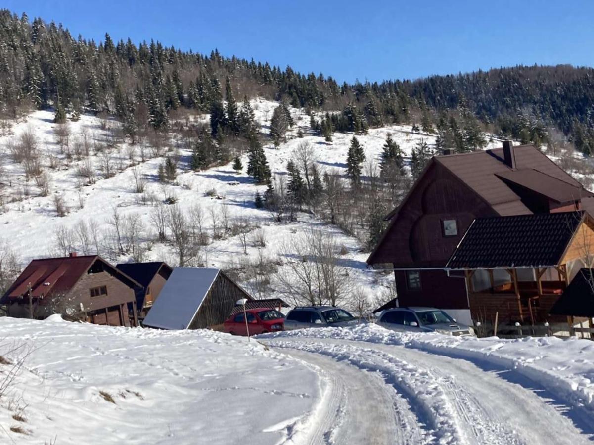 Pensiunea Amalia Gîrda de Sus Exteriör bild