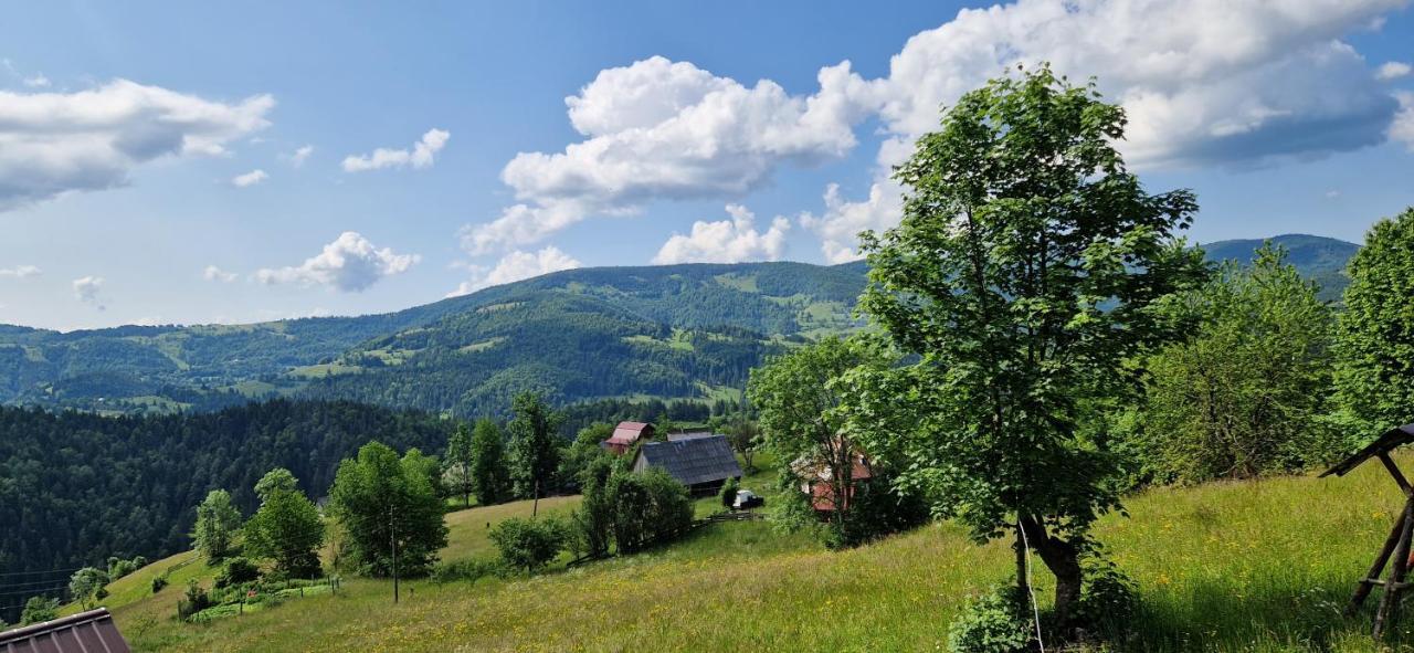 Pensiunea Amalia Gîrda de Sus Exteriör bild