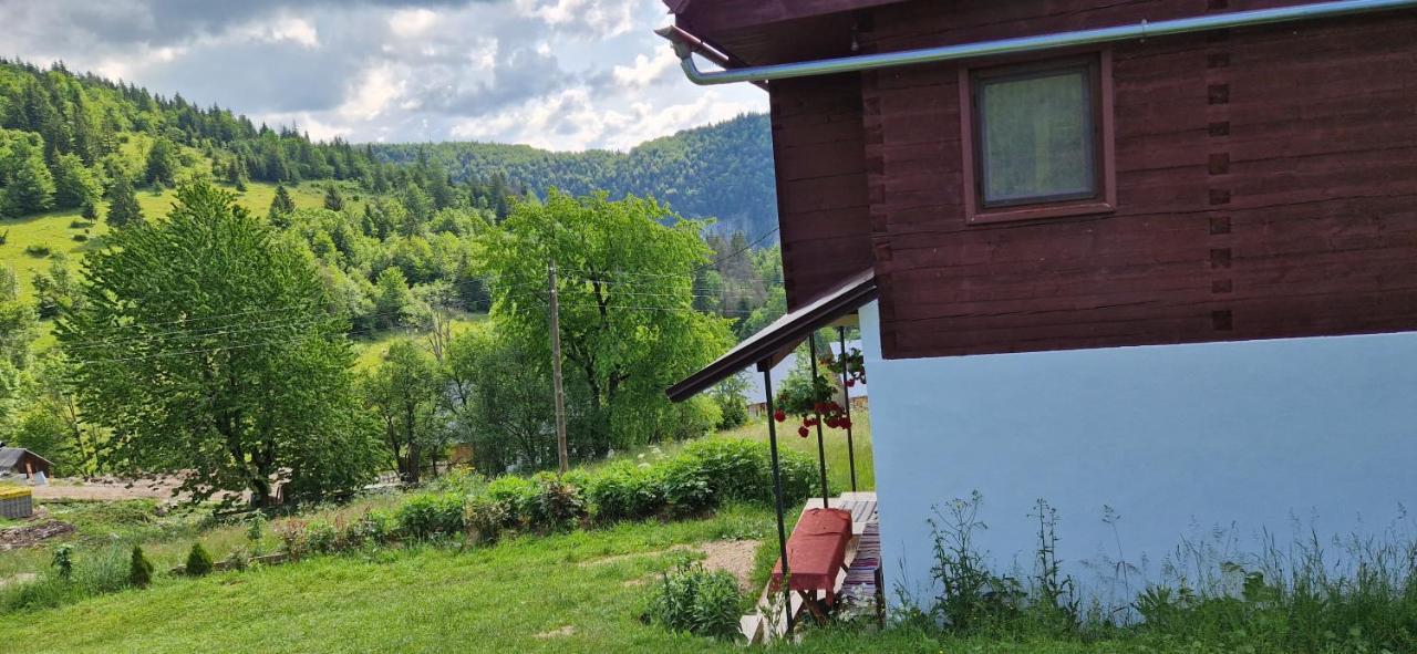 Pensiunea Amalia Gîrda de Sus Exteriör bild