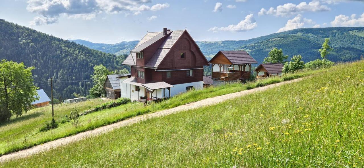 Pensiunea Amalia Gîrda de Sus Exteriör bild